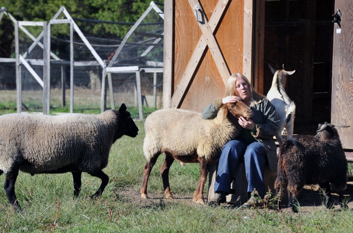 cumbo farm rights5023053.jpg